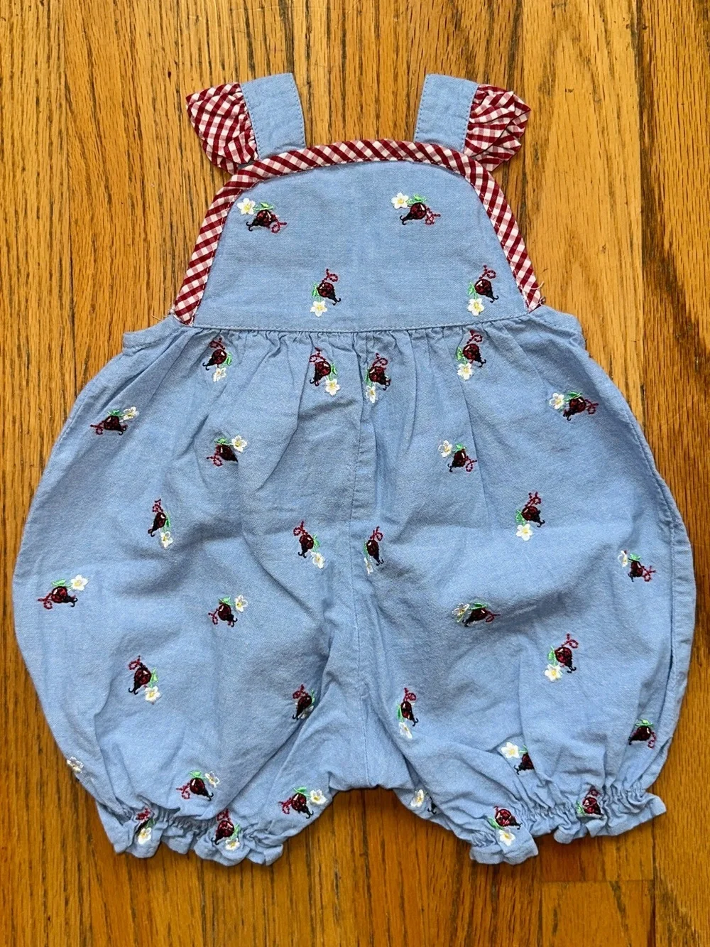 Starting Out Blue Overalls with Ladybugs